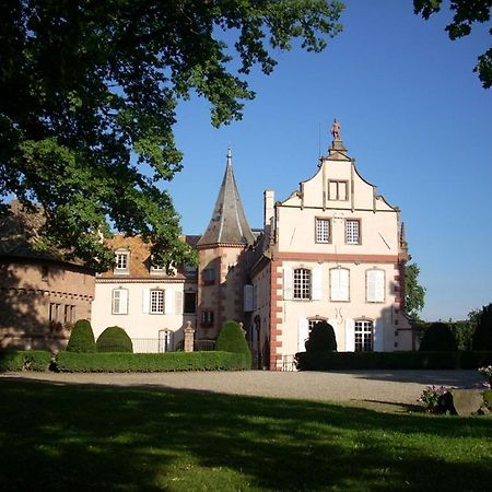 Le Chateau D'Osthoffen Bagian luar foto