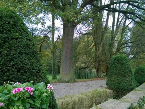 Le Chateau D'Osthoffen Bagian luar foto