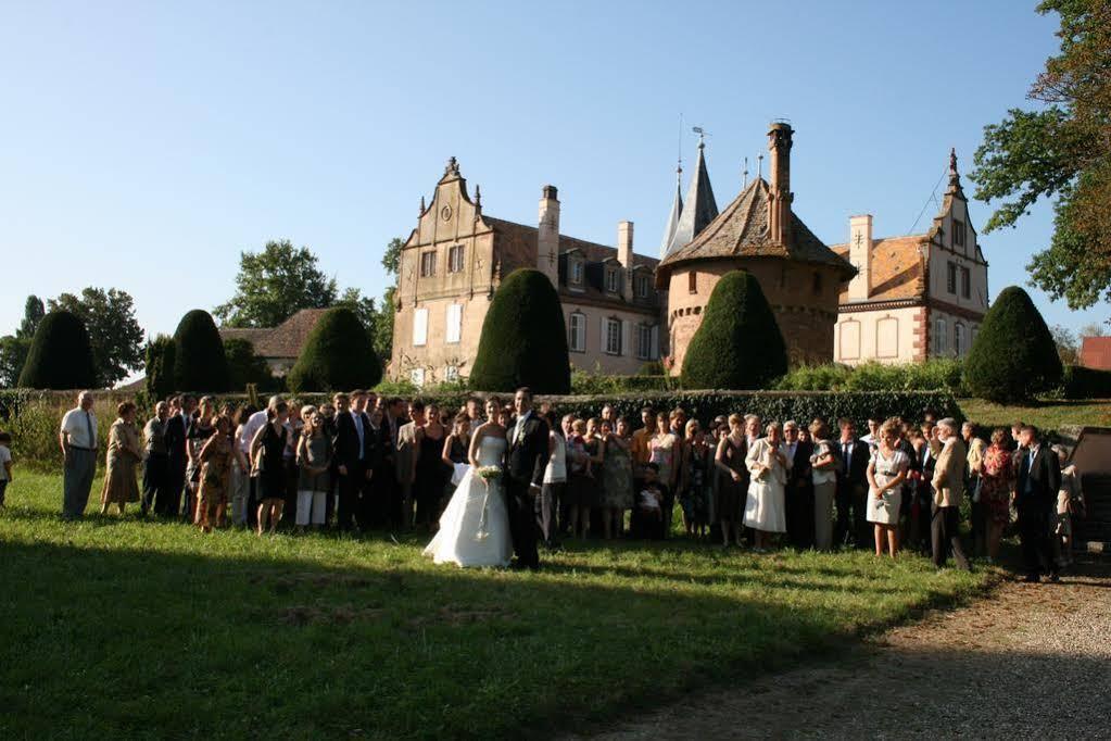 Le Chateau D'Osthoffen Bagian luar foto