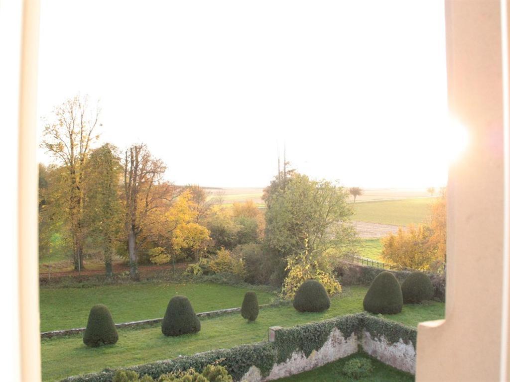 Le Chateau D'Osthoffen Ruang foto